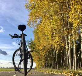 Fahrradreisen, Wanderreisen